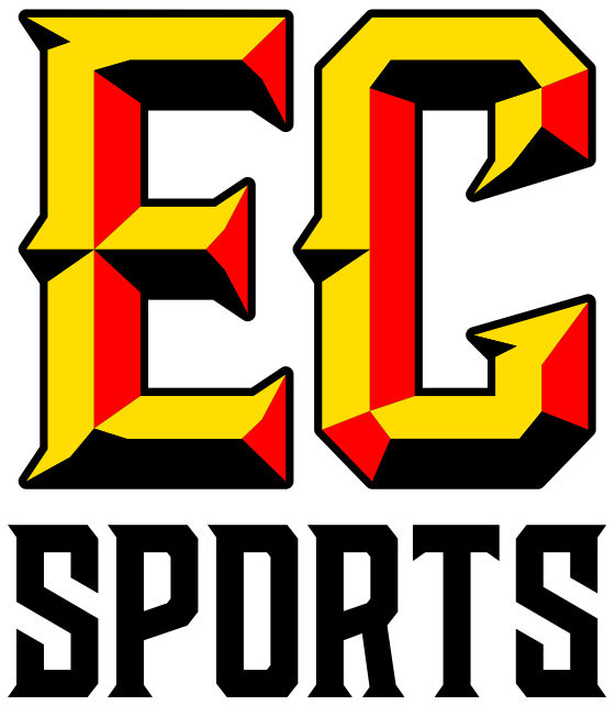 Custom DTF Transfers Gang sheets